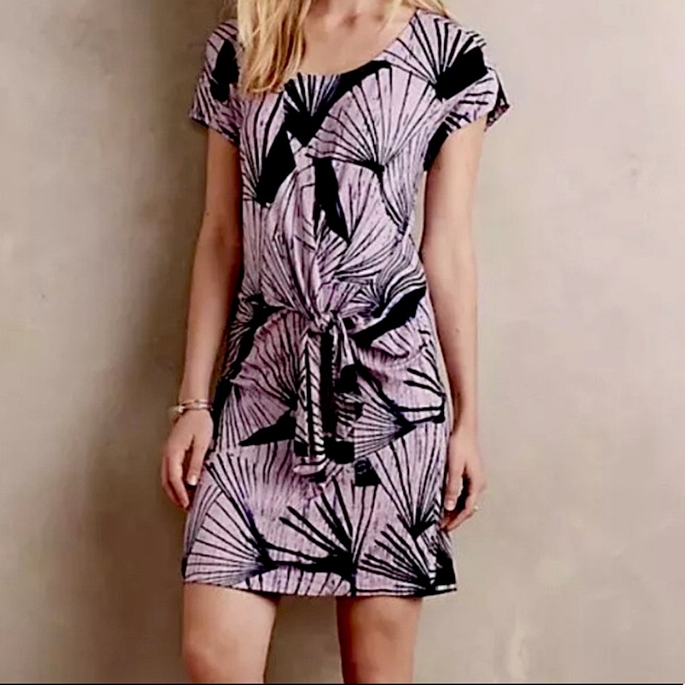 Maeve anthropologie fan print dress